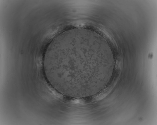 X0000094440561200711081251