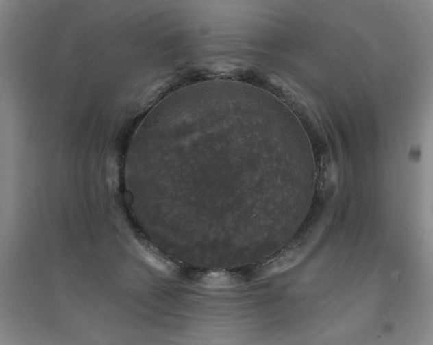 X0000094440562200711081251
