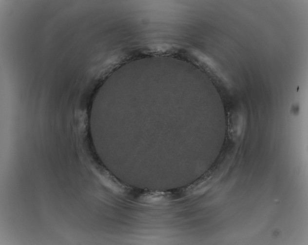 X0000094440563200711081251