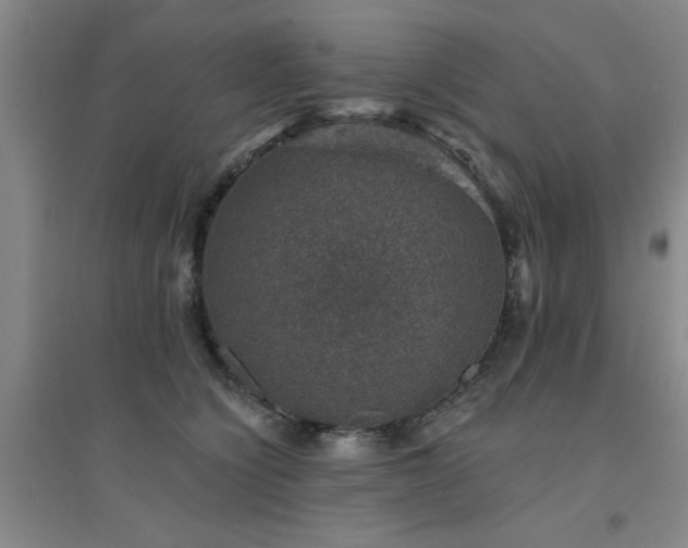 X0000094440564200711081251
