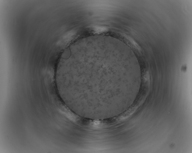 X0000094440565200711081251