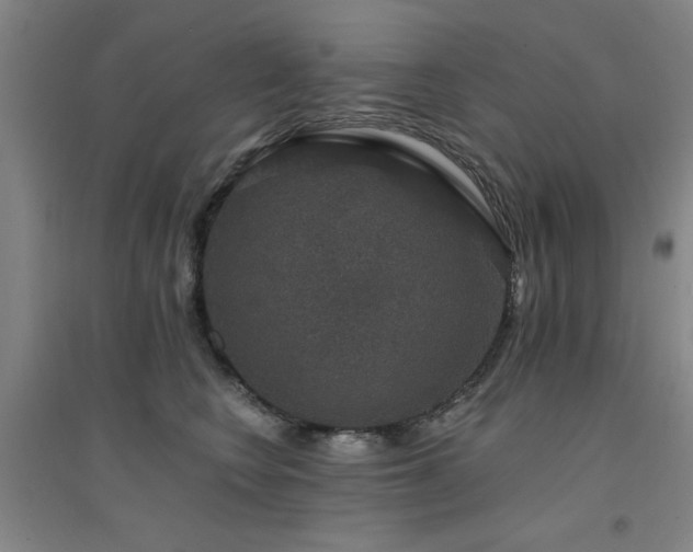 X0000094440566200711081251