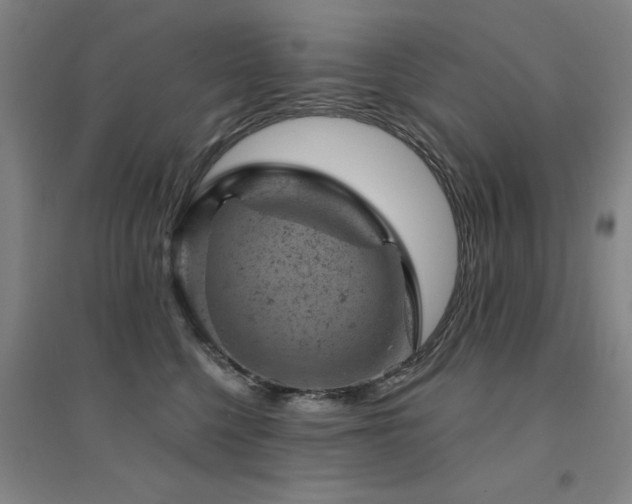 X0000094440568200711081251