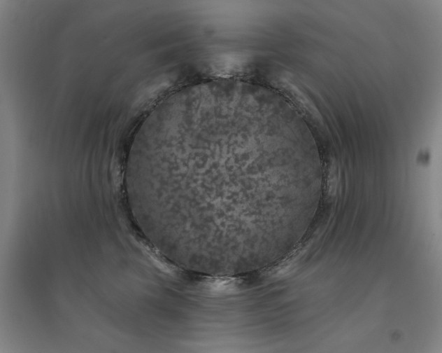 X0000094440569200711081251