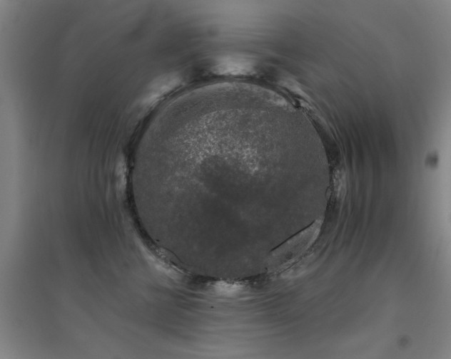 X0000094440570200711081251