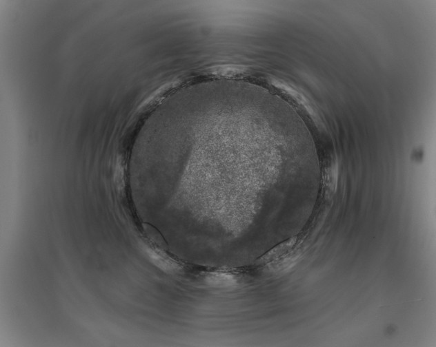 X0000094440572200711081251