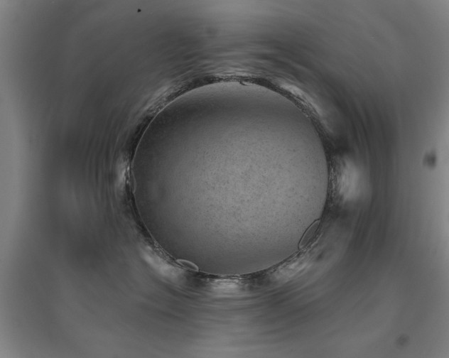 X0000094440574200711081251