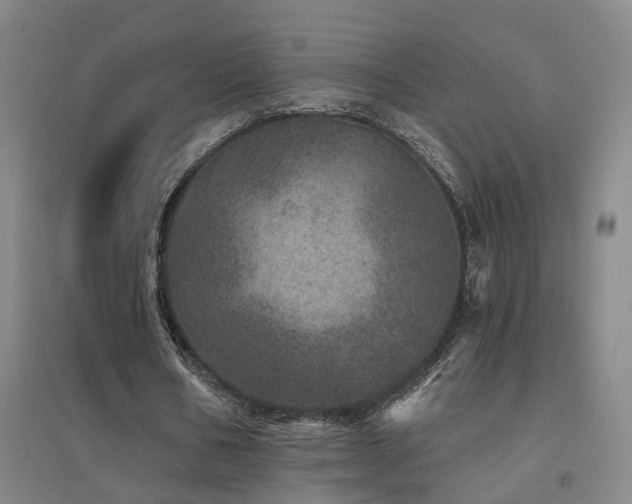 X0000094440578200711081251