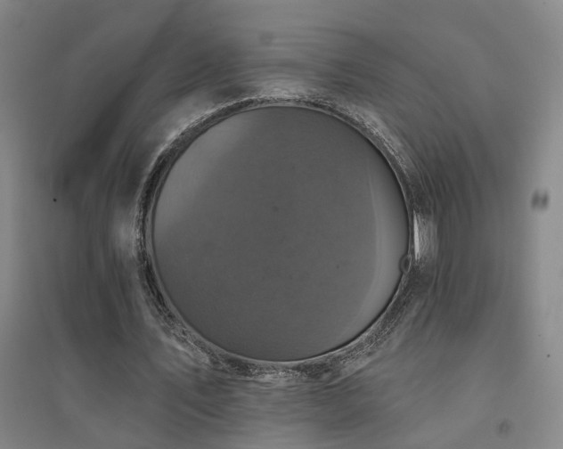 X0000094440579200711081251
