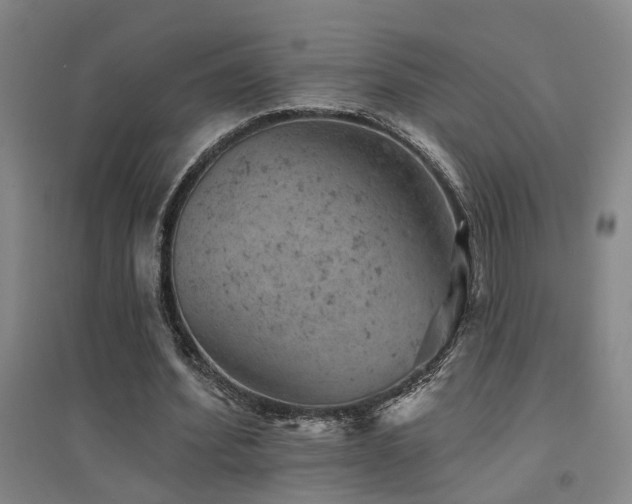X0000094440580200711081251