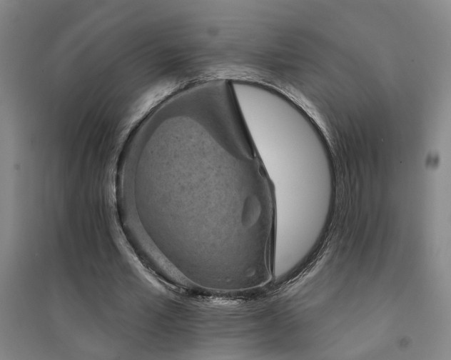 X0000094440581200711081251