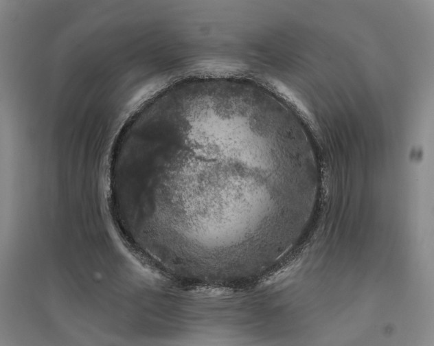 X0000094440582200711081250
