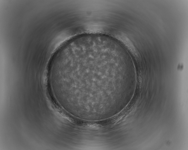X0000094440583200711081250
