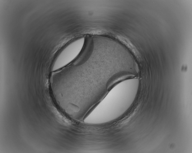 X0000094440585200711081250
