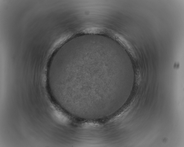 X0000094440586200711081250