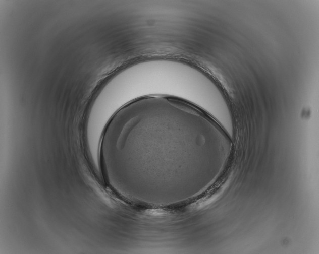 X0000094440589200711081250