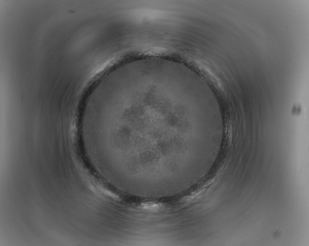 X0000094440591200711081250