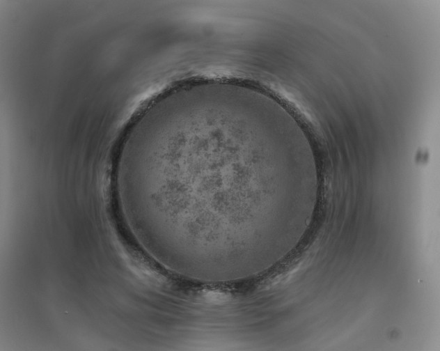 X0000094440592200711081250