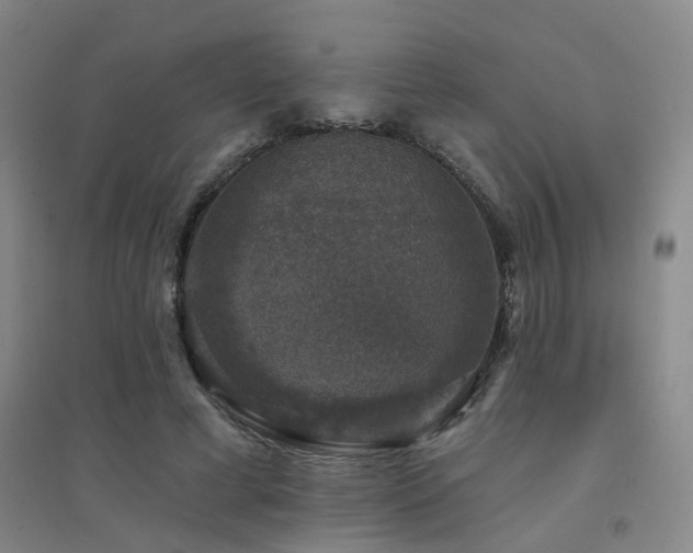 X0000094440593200711081250