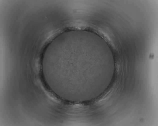 X0000094440594200711081250