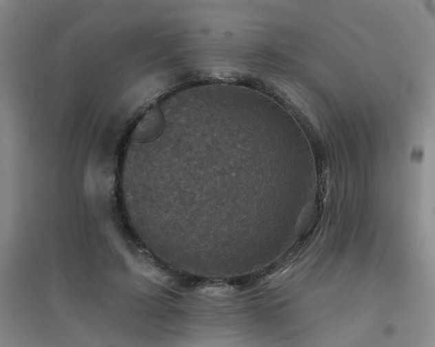 X0000094440595200711081250