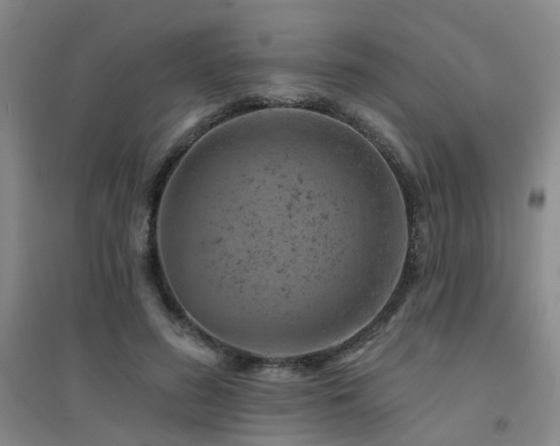X0000094440596200711081250