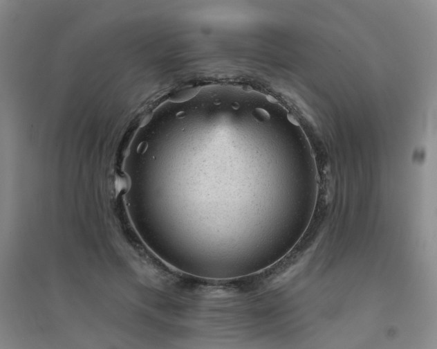 X0000094440597200711081250