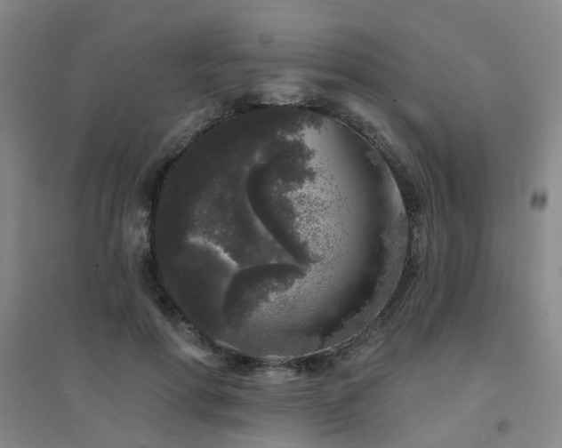 X0000094440598200711081250