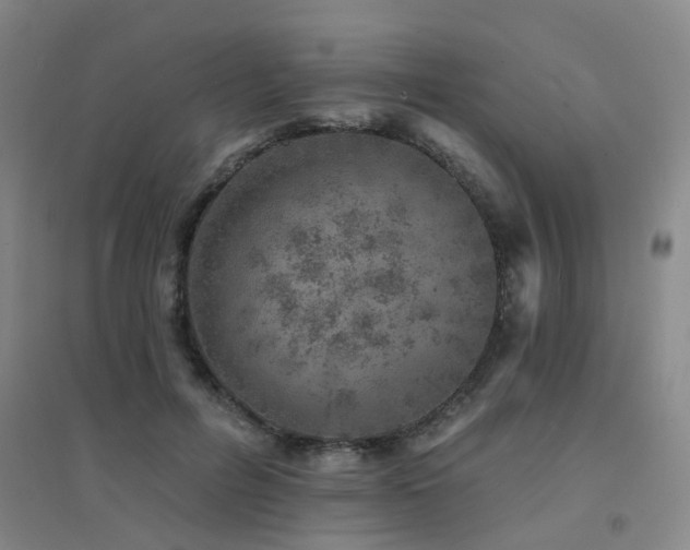 X0000094440600200711081250
