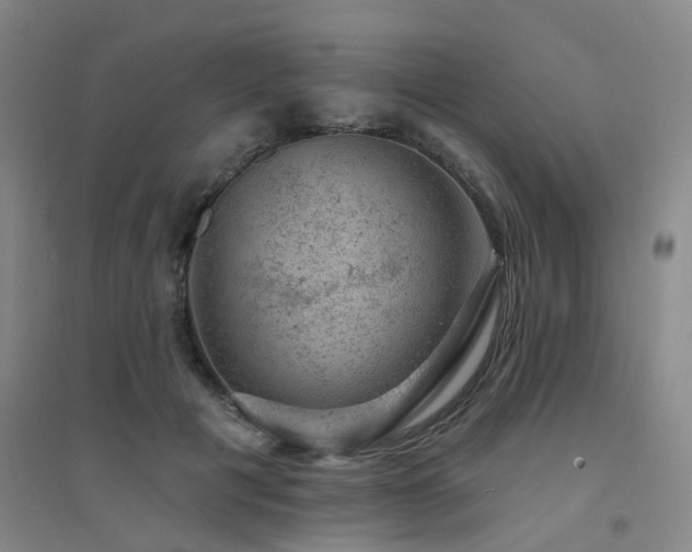 X0000094440601200711081250