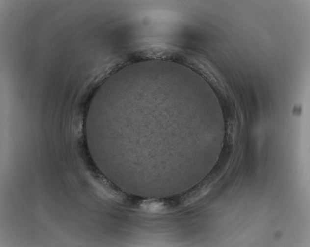 X0000094440602200711081250