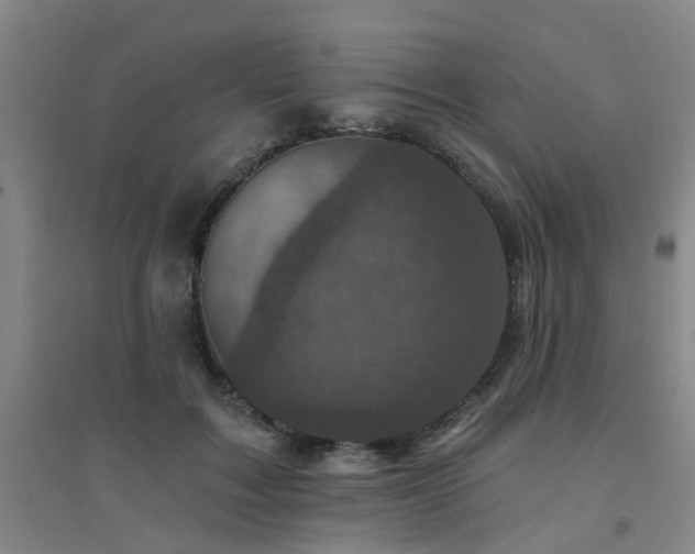 X0000094440603200711081250