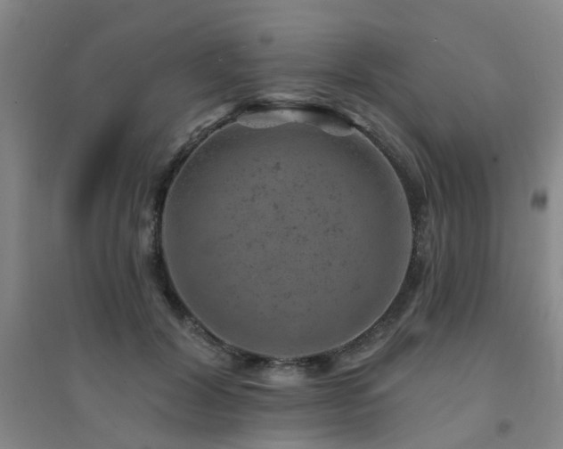 X0000094440604200711081250