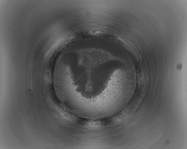 X0000094440606200711081250