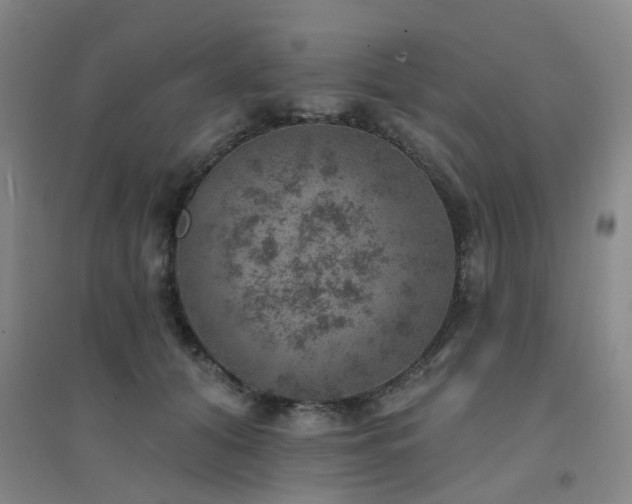 X0000094440608200711081250