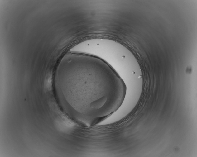 X0000094440609200711081250