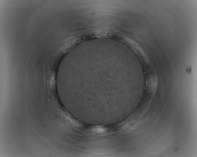 X0000094440610200711081250