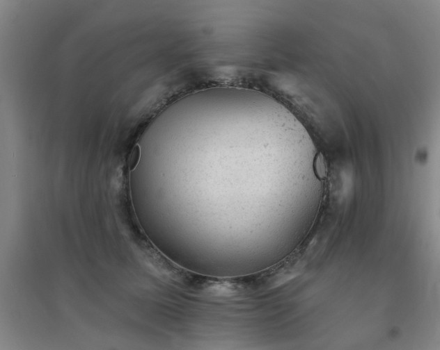 X0000094440611200711081250