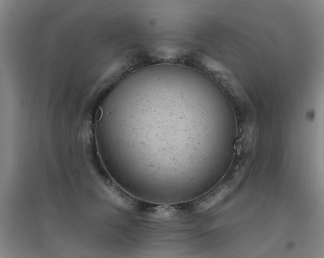 X0000094440612200711081250