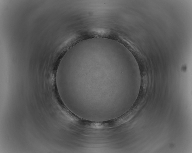 X0000094440613200711081250