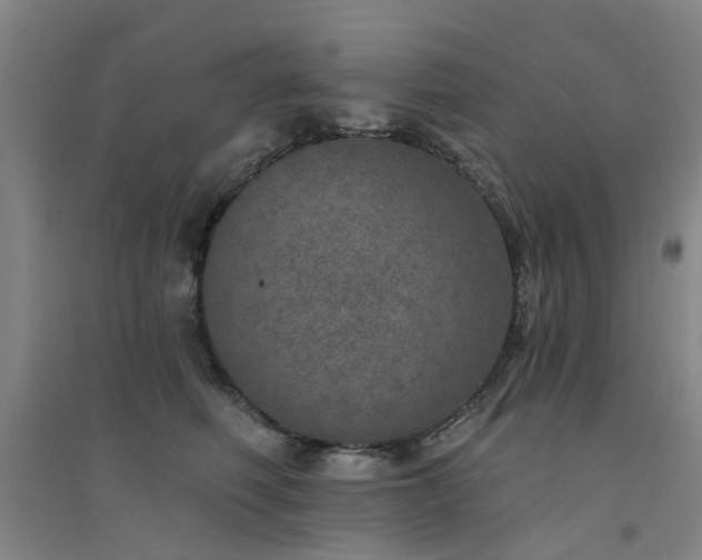 X0000094440614200711081250