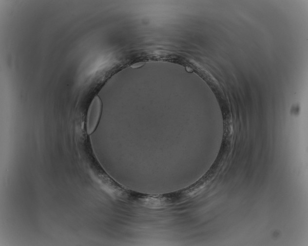 X0000094440615200711081250