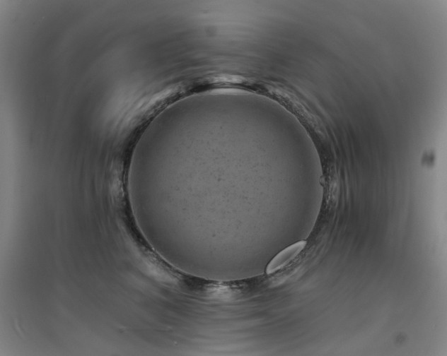 X0000094440616200711081250
