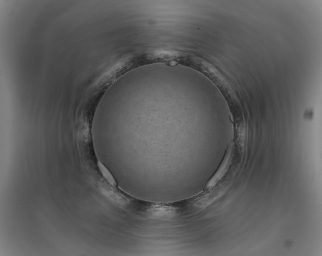 X0000094440617200711081250
