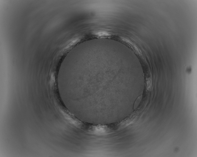 X0000094440618200711081250