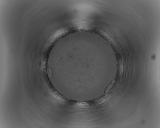 X0000094440619200711081250