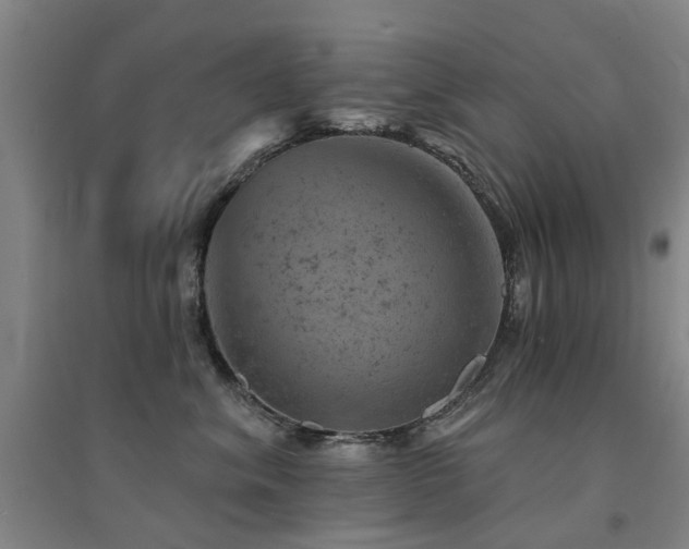 X0000094440620200711081250