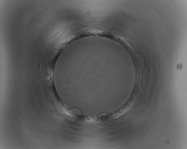 X0000094440624200711081250