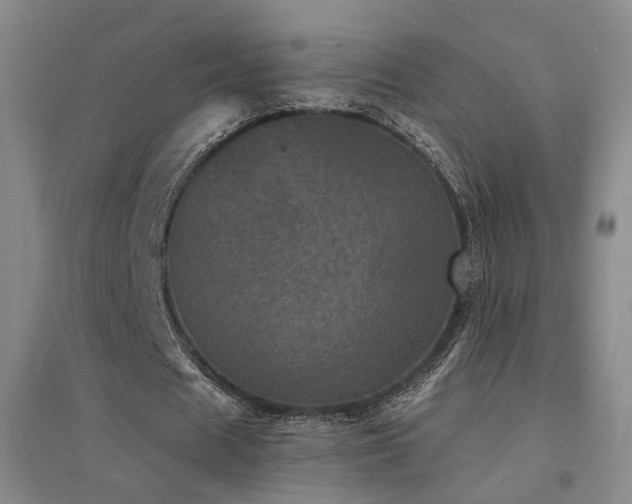 X0000094440625200711081249