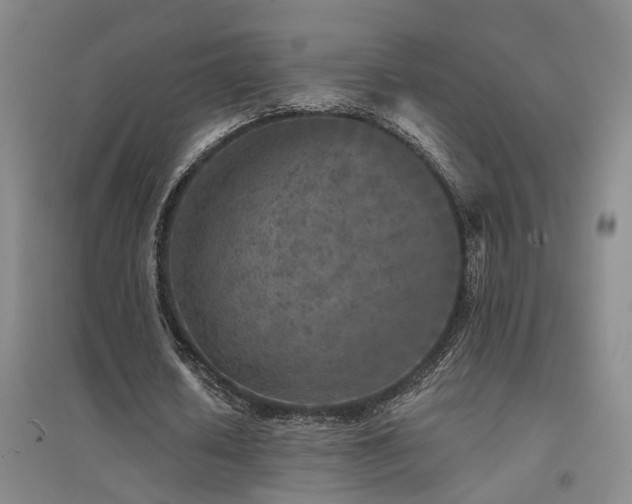 X0000094440626200711081249